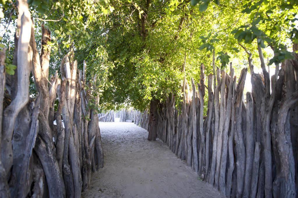 Ongula Village Homestead Lodge Ondangwa Eksteriør billede