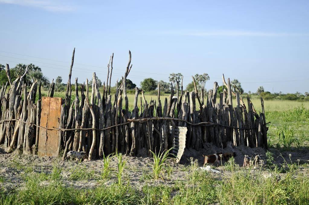 Ongula Village Homestead Lodge Ondangwa Eksteriør billede